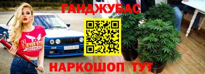 крисы Ярцево