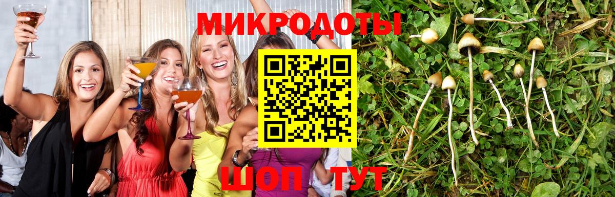 магазин  наркотиков  Вход с VPN  Ахтубинск  Псилоцибиновые грибы Psilocybe 