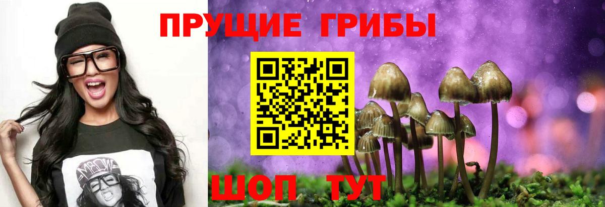 Псилоцибиновые грибы Magic Shrooms Ахтубинск
